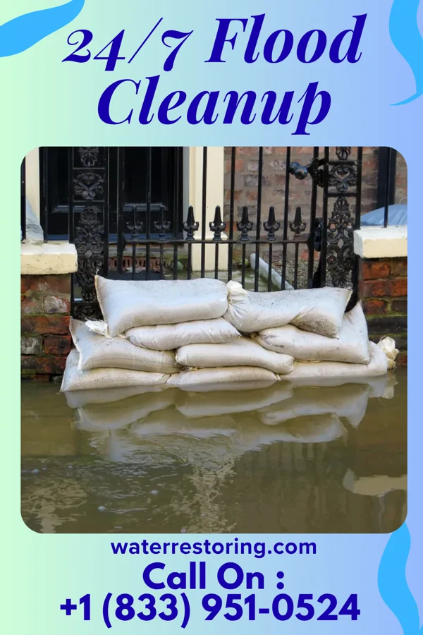 24/7 Flood Cleanup in Mount Morris, MI
