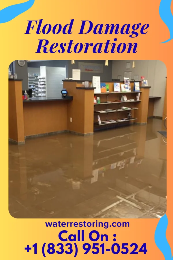 Flood Damage Restoration in Mount Morris, MI