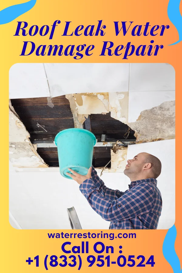 Roof Leak Water Damage Repair in Mount Morris, MI