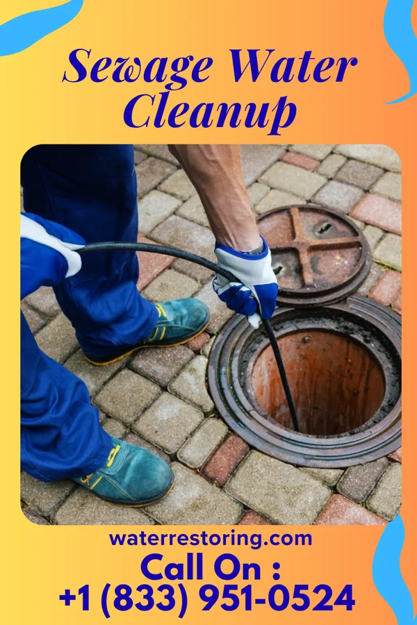 Sewage Water Cleanup in Mount Morris, MI